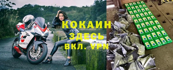 прущие грибы Баксан