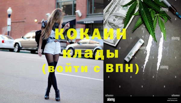 прущие грибы Баксан