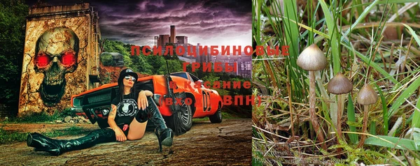 a pvp Балабаново