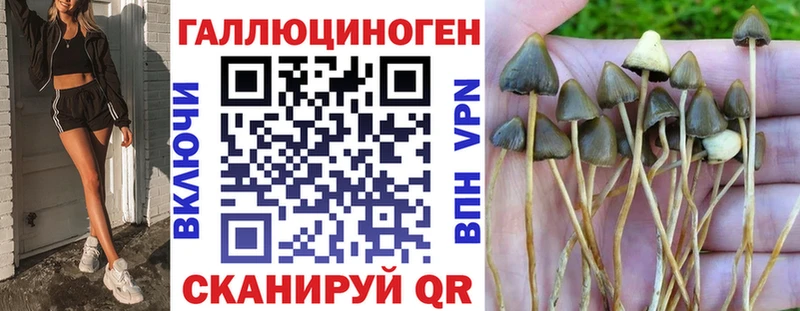 купить наркоту  Белёв  Псилоцибиновые грибы Psilocybine cubensis 